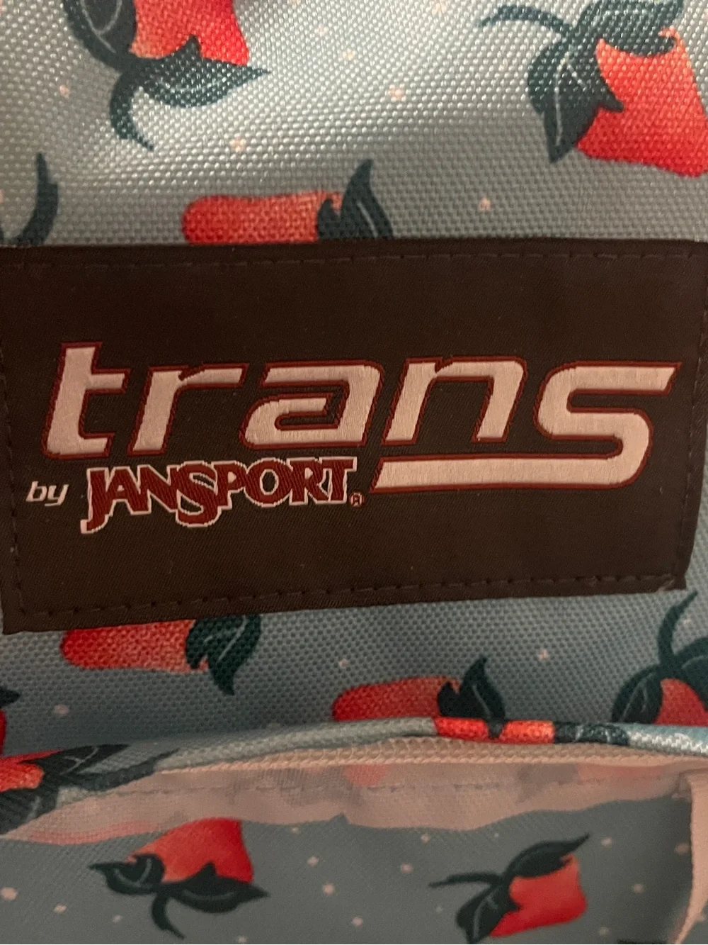 Trans by Jansport Teal Strawberry and  Polkadot print Backpack